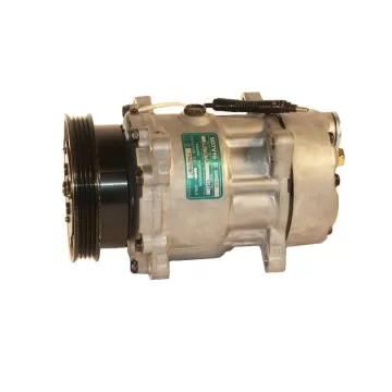 40405260 RENAULT Mégane I serie 1.4 - 1.6 40405260  Compressor Sanden variable SD7V16  1143  SD7H16; 120 mm; PV4; 12V; H; Renault Megane; Scenic      Renault  Mégane I Serie 1.4 - 1.6 Scénic I serie 1.6 16v 1143 / 1175 / 7700272987 / 7701499820 - 